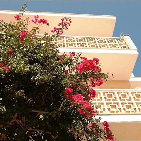 Casa De La Vida Hostel ซานตานยี ภายนอก รูปภาพ